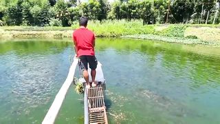 Mahalagang Kaalaman sa Tilapia Farming- BEGINNERS GUID