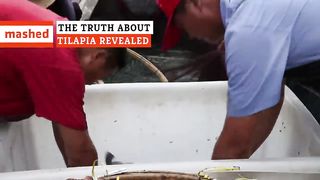 The Truth About Tilapia Revealed