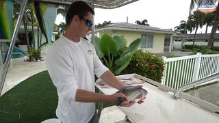 How To Fillet Tilapia!