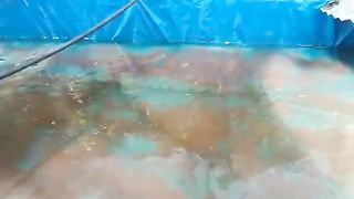 560 pesos TRAPAL TILAPIA FISH CAGES
