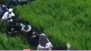 Penggemar Gus iqdam membludak sampai persawahan
