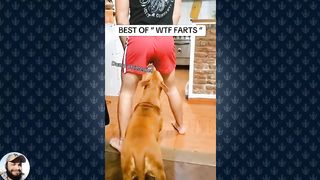 New Random Funny and Fail Videos 2023 ???? Cutest People Doing Funny Things ???????? Part 2