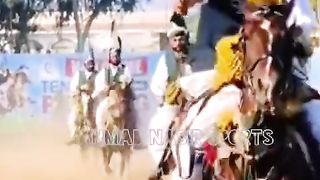 #horse #horselover #nezabazi #pakistan #mianwali #foryoupage #niazi #foryou #noorniazi786#ahmad#horse#power 46