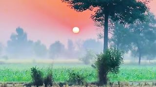 Beautiful ???????????? 4