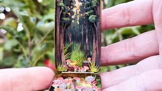 A pocket Redwood forest