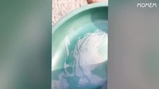 Try Not To Laugh Funny Videos Challenge