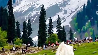 Beautifull Views
