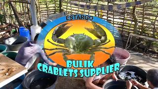 PRESYOHAN ng Bulik Crablets