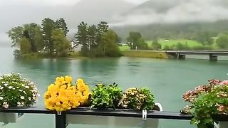 video 284