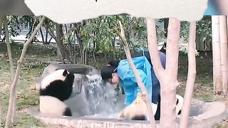 Láo nháo hử,cho đăng xuất giờ