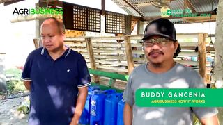 BACKYARD EGG PRODUCTION VS. TRICYCLE. Ano mas Magandang Hanapbuhay