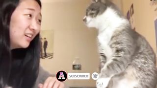 Incredible Moments Caught On Camera | 48 Instant Karma Compilation