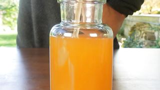 Confiture de kiwi