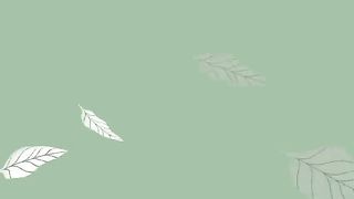 File name 5-Minute Meditation You Can Do Anywhere(480P).