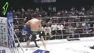 The Most Brutal Top 50 Knockouts _ MMA_ Kickboxing _ Boxing Craziest Knockouts