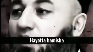 Hayot 7