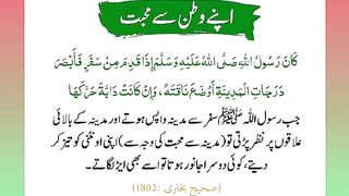 اسلامی معلومات Like share follow 71
