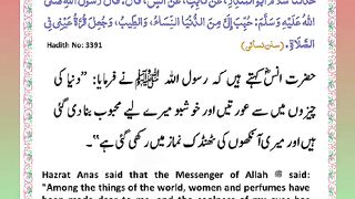 اسلامی معلومات Like share follow 74