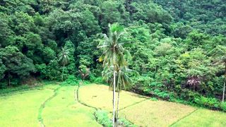 such a beautiful view