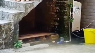 Funny fight 2