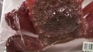 Зомби-краб сбегает из холодильника #trending #tiktok #new