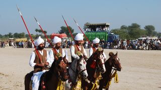 #febspot#foryou #foryoupage#horses#ridings#vedios #fyp #Ahmad#horsepower#trendin47