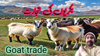 |Hadith for trading goats|Hadees voice over with Aqeel |hadise nabvi Sallallahu Alaihi Wasallam |