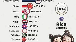 The Largest Rice Exporters in the World