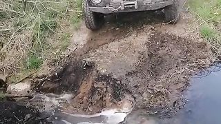 Бобик БД