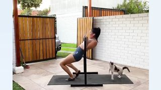Funny Cat Videos That Will Make You Laug