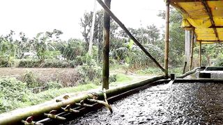Amazing! Fish Farming Tanks Tech to Boost Fish Production