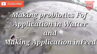 HO W TO MAKE BIOFLOC MIXED FOR FISH
