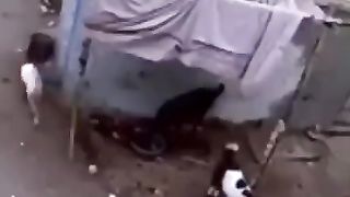Goat theft.  How they take away the cattle.