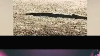 Ridiculous Incident vol 100