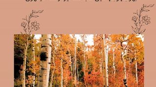 Poetry 406