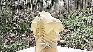 Sniper shut