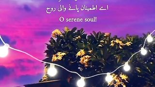 Saqoon qalb
