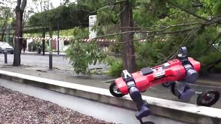 Rebot