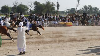 #febspot#foryou #foryoupage#horses#ridings#vedios #fyp #Ahmad#horsepower#trendin48