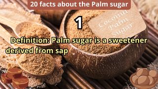 20 Facts about palm sugar