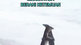 Nah Lho Mereka aja Ketemuan masa kamu gak