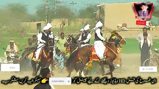 #febspot#foryou #foryoupage#horses#ridings#vedios #fyp #Ahmad#horsepower#trendin49
