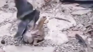 Wah..
