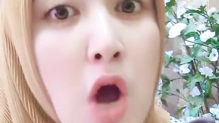 Buah belimbing buah kedondong