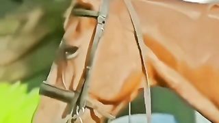 Watch Chinese beautiful girl horse riding Video