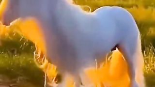 Watch Chinese beautiful girl horse riding Video 3