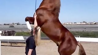 Watch Chinese beautiful girl horse riding Video 11