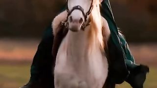 Watch Chinese beautiful girl horse riding Video 18