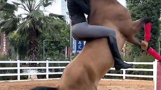 Watch Chinese beautiful girl horse riding Video 25