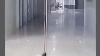 Cat bombastik